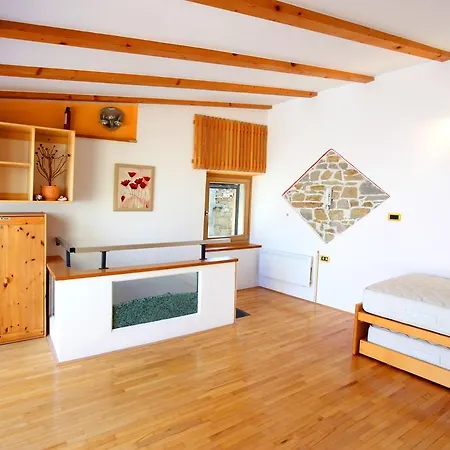 Penthouse Alma Vivoda شقة *