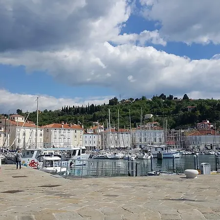 Penthouse Alma Vivoda Apartament *