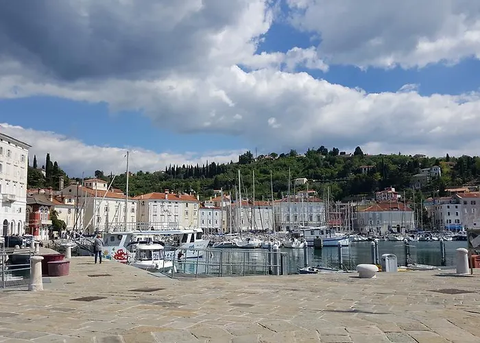 Penthouse Alma Vivoda דירה *