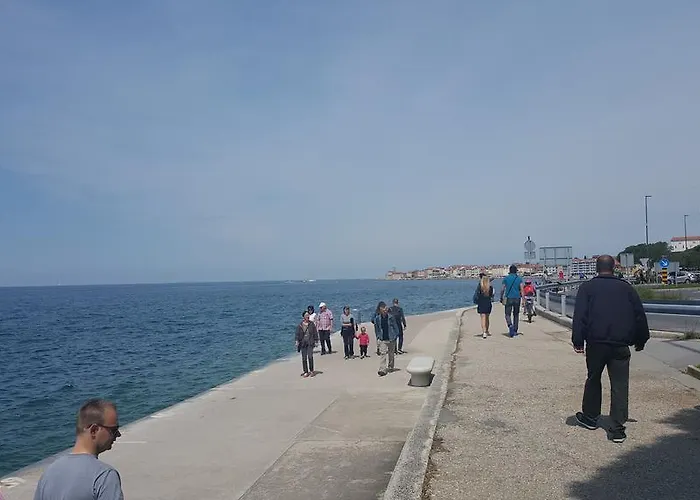 Penthouse Alma Vivoda דירה *